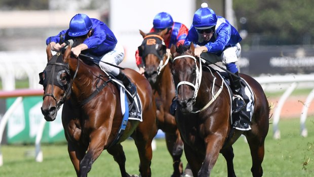 Too good: Winx looms up and past Happy Clapper (inside)  in the George Ryder Stakes