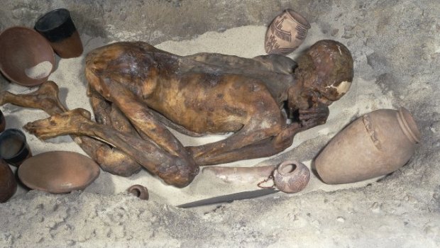 Gebelein Man mummy. Recent research has found tattoos on the skin of the museum's oldest resident.