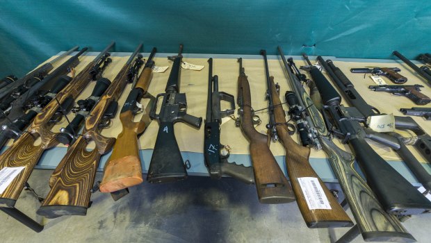 Some of the firearms seized in Queensland since February 1, as part of Operation Quebec Camouflage.