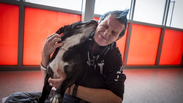 Kyle McKenzie knew he and Tyson were perfect for each other as soon as they met at the RSPCA's Clear the Shelter adoption promotion. 