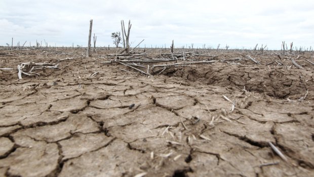 Water is a fraught issue in the Murray-Darling Basin, particularly during droughts.