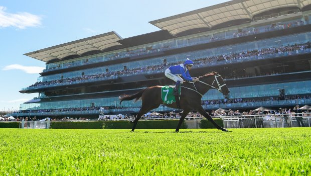 Royal calling: Winx clears out from rivals  in the Chipping Norton Stakes at Randwick on Saturday.