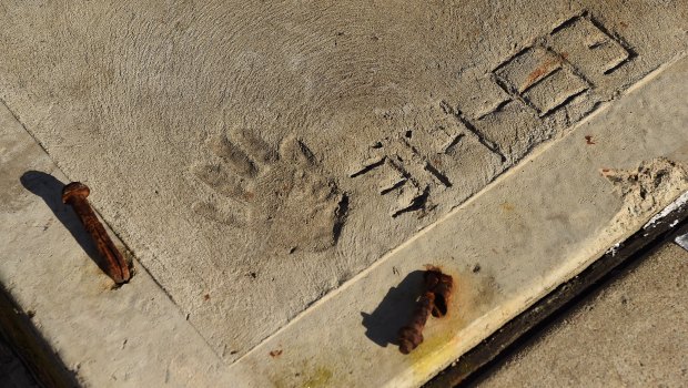 Jeff Lindsell's four-year-old hand print in the driveway of his family home in Gymea, Sydney. 