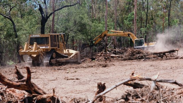 Land clearing in Queensland.