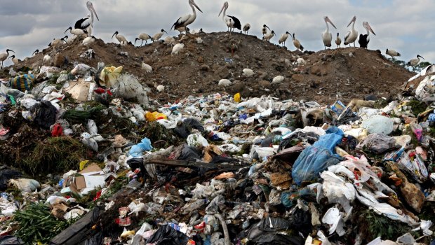 Garbage could be a new energy source for EnergyAustralia.
