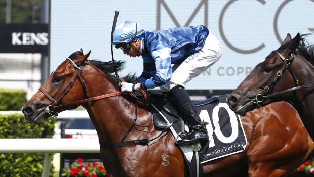 Big price tag: Aylmerton's value will skyrocket if he wins the Golden Slipper.