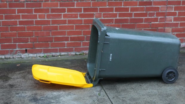 Residents contacted Brisbane City Council more than 65,000 times to ask a question about their wheelie bins.