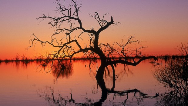 Reflections in Lake Menindee at sunset in the Kinchega National Park.