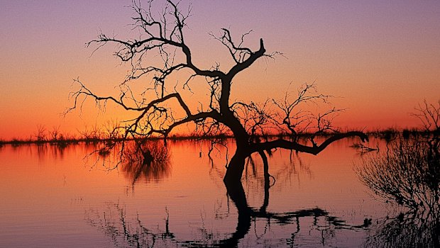 Reflections in Lake Menindee at sunset in the Kinchega National Park.