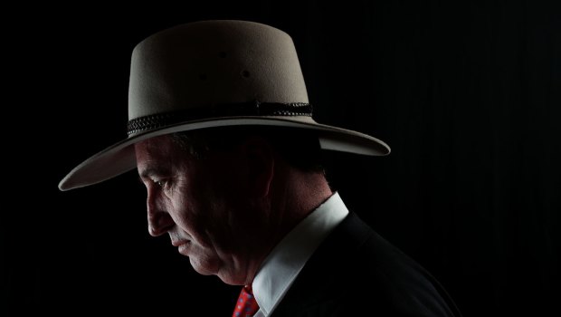 Former deputy prime minister Barnaby Joyce has rejected the allegations as spurious and defamatory. 