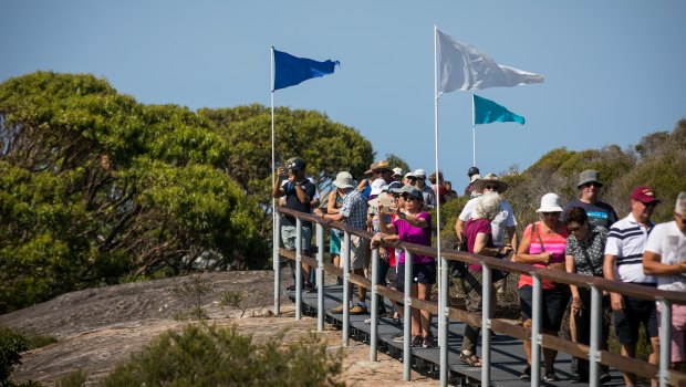 Crowds flocked to the new walking track.