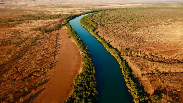 Quintis owns sandalwood plantations near the Kimberley. 