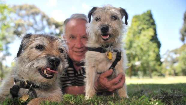 Dr Hugh Wirth with his two border terriers in 2011.