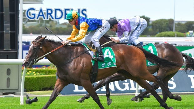 Championship contender: Try A Lil Harder wins the Highway Handicap at Rosehill last month