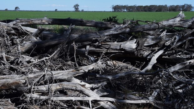 Land clearing near Croppa Creek, near where government compliance officer Glenn Turner was shot dead by farmer Ian Turnbull in 2014.