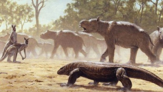 Diprotodon undertaking mass migration, while being observed by a giant lizard (Megalania) and giant grey kangaroos.