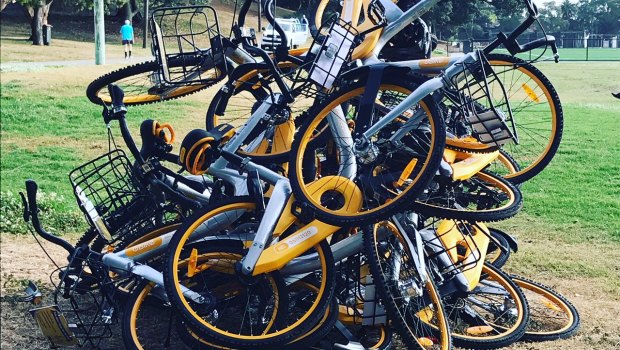 Bike-share bikes dumped in Waverley Oval last year.