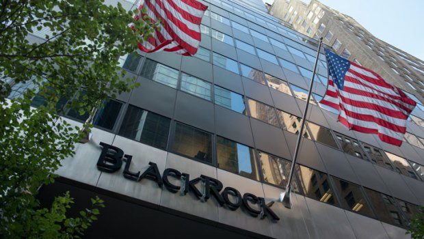 BlackRock is the world's biggest asset manager, and its voting decisions are closely watched.