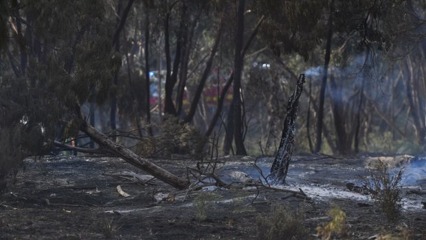 Burnt out land in Carrum Downs after a fire took hold during extreme temperatures earlier this month. 