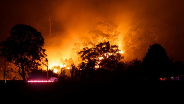 Fire crews on the ground battling several blazes at Yellow Rock near Springwood in the Blue Mountains in October 2013.