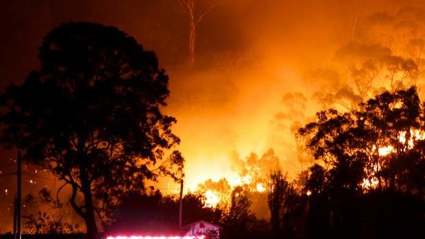 Fire crews on the ground battling several blazes at Yellow Rock near Springwood in the Blue Mountains in October 2013.