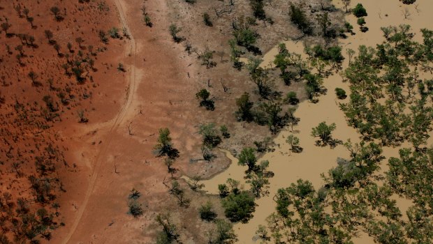 Flood waters from the Warrego River fill channels in the Cuttaburra Creek in 2007.