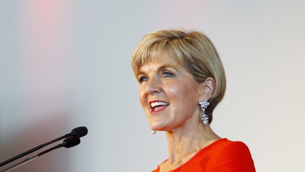 Foreign Minister Julie Bishop announced the Emerging Market Impact Investment Fund, which will use loans, equity, guarantees and other financial instruments to invest in funds that target early-stage SMEs.