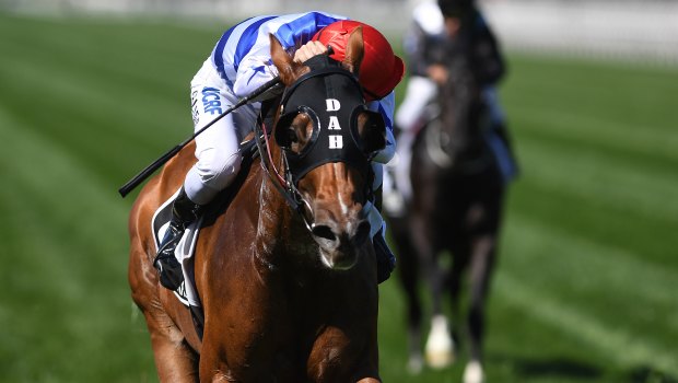 Heading to Sydney: Redkirk Warrior takes out his second Newmarket Handicap at Flemington on Saturday.