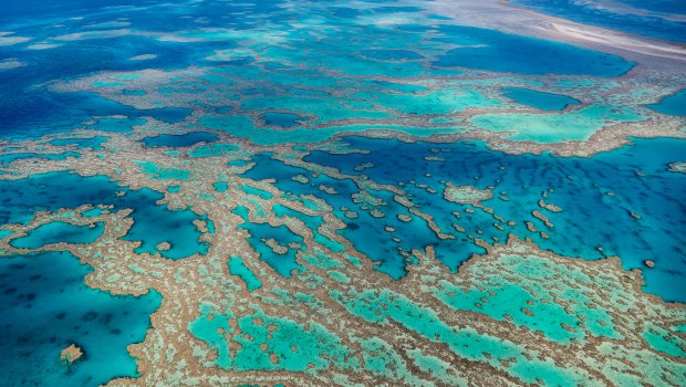 Hook and Hardy Reef in the Great Barrier Reef Marine Park, in the Whitsundays.