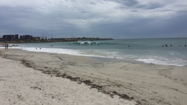 Surfers at Sand Tracks surf spot near Fremantle's Port Beach.