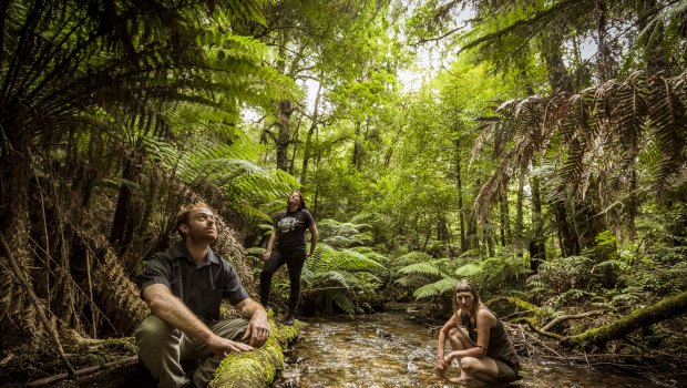 Forest defenders: Ed Hill, Fiona York and Kristin Godby from  Goongerah Environment Centre.