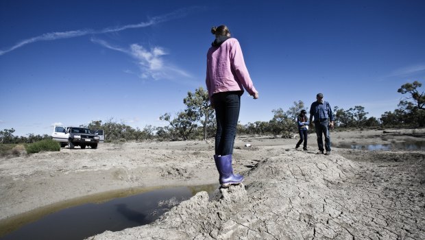 Lower Darling pastoralists have faced increasing bouts of dry times - even outside droughts.