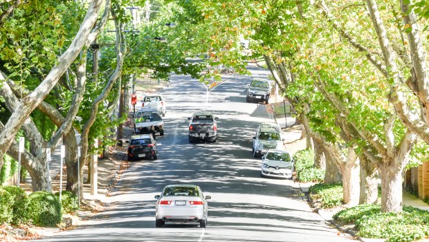 Owners or developers may be asked to pay cash as security for failing to protect trees across Stonnington.