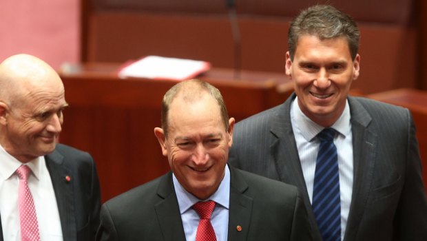 David Leyonhjelm, Fraser Anning and Cory Bernardi have formed a voting alliance.