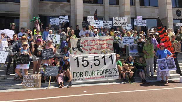 Protesters rally at WA Parliament to save South West forests.