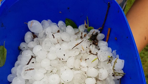 Hail from the severe storm that went through Brightview near Ipswich on Wednesday afternoon.