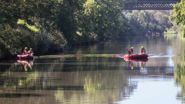Fire crews mop up what appears to be an oil spill on the Yarra river. Seen here boats drag an absorption float across the surface near the Barkers road bridge in Kew. 