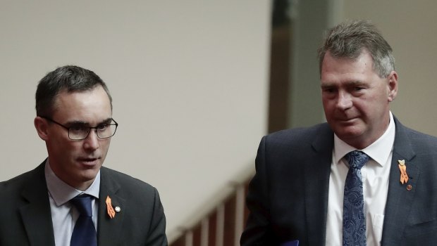 Independent senators Tim Storer (left) and Steve Martin (right) in the Senate on Wednesday.