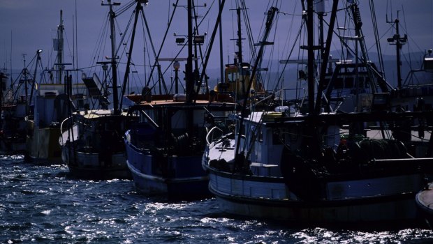 Discarded nets off fishing trawlers are adding to the pollution problem.