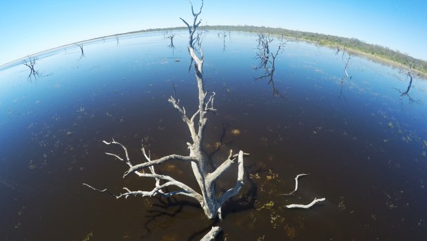Lake Menindee in far west NSW in November 2016.