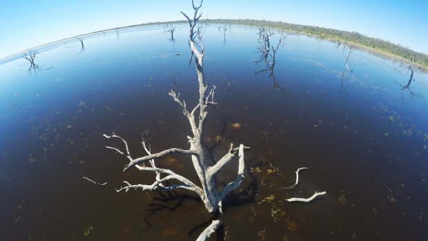 Lake Menindee in far west NSW in November 2016.