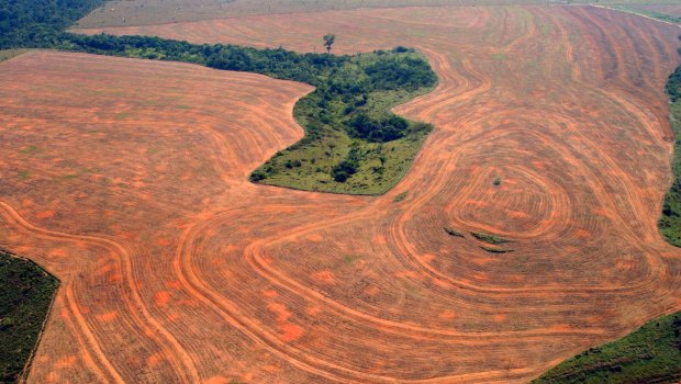 Aerial view of an area deforested by soybean farmers in Novo Progreso, Para, Brazil, in 2004.