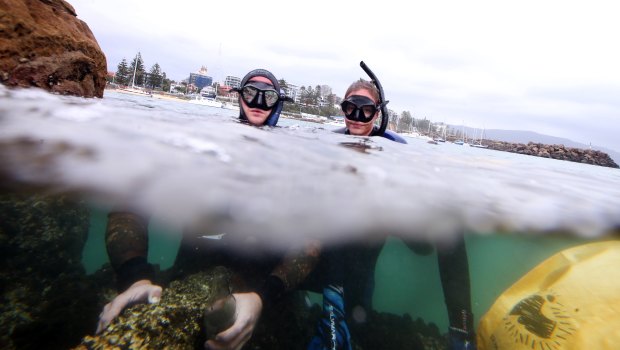 Snorkellers help to clear rubbish off the shores of North Wollongong beach. 
