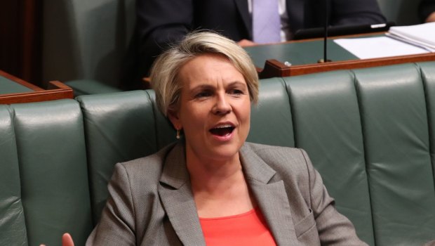 Beware the 'warm and fuzzy' Greens, says Deputy Opposition Leader Tanya Plibersek. Photo: Andrew Meares