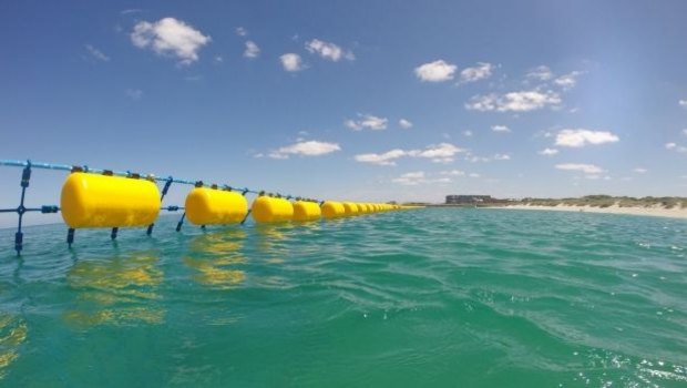 Fisheries Minister Mark Furner said there was no plans to phase out shark nets in Queensland.