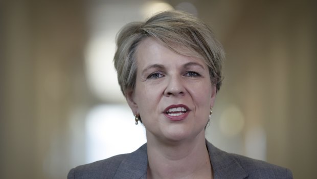 Deputy Opposition Leader Tanya Plibersek