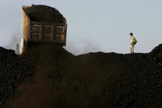 Record coal prices help prop up Indonesia’s recovery