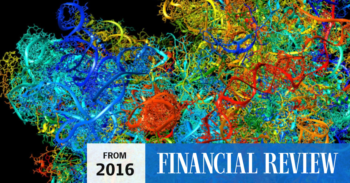 New super computer at Monash University simplifies science into pictures