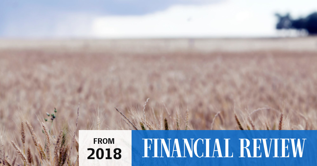 Riverina farming giant BFB on the block; PwC, CBRE hired