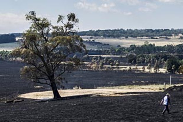 Risks of economic, ecological collapse